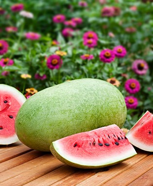 Charleston Gray Watermelon